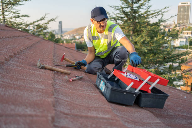 Best Residential Vinyl Siding Installation  in Bridgman, MI